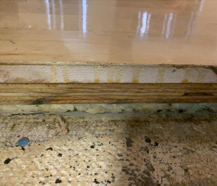 Mold growth underneath flooring.