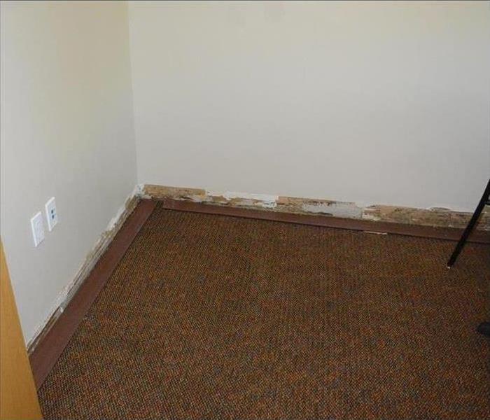 Carpet floor, white walls, baseboard damaged