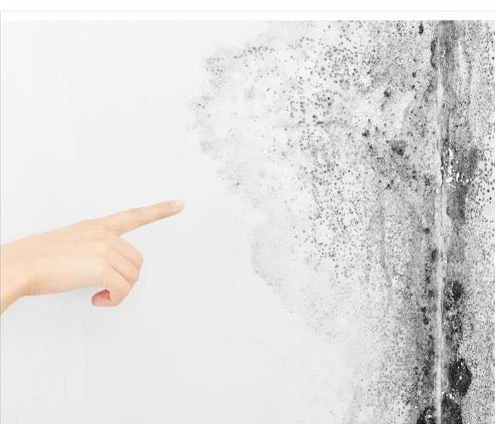 Hand pointing to mold growth on a wall